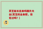 灵芝能长出来吗图片大全(灵芝的全身照，你见过吗？)
