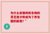 为什么安徽利民生物的灵芝孢子粉成为了养生圈的新宠？”