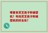 哪里有灵芝孢子粉破壁机？寻找灵芝孢子粉破壁机的好去处？
