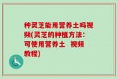 种灵芝能用营养土吗视频(灵芝的种植方法：可使用营养土  视频教程)