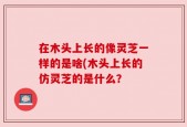 在木头上长的像灵芝一样的是啥(木头上长的仿灵芝的是什么？
