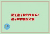 灵芝孢子粉的生长吗？孢子粉种植全过程