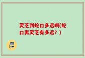 灵芝到蛇口多远啊(蛇口离灵芝有多远？)