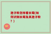 孢子粉怎样看长霉(如何识别长霉及其孢子粉？)