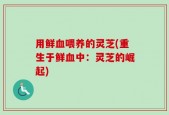 用鲜血喂养的灵芝(重生于鲜血中：灵芝的崛起)