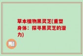 草本植物黑灵芝(重塑身体：探寻黑灵芝的潜力)