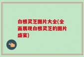 白根灵芝图片大全(全面展现白根灵芝的图片盛宴)