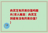 肉灵芝有药用价值吗图片(世人瞩目：肉灵芝到底有没有药用价值？)
