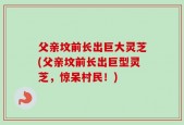 父亲坟前长出巨大灵芝(父亲坟前长出巨型灵芝，惊呆村民！)