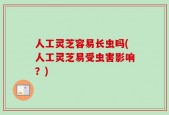 人工灵芝容易长虫吗(人工灵芝易受虫害影响？)