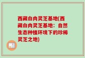西藏白肉灵芝基地(西藏白肉灵芝基地：自然生态种植环境下的珍稀灵芝之地)