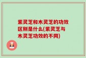 紫灵芝和木灵芝的功效区别是什么(紫灵芝与木灵芝功效的不同)