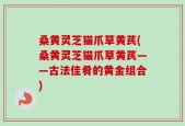 桑黄灵芝猫爪草黄芪(桑黄灵芝猫爪草黄芪——古法佳肴的黄金组合)