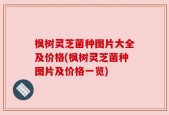 枫树灵芝菌种图片大全及价格(枫树灵芝菌种图片及价格一览)