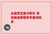 云南灵芝孢子粉片 养生新选择营养丰富功效多