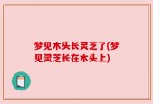 梦见木头长灵芝了(梦见灵芝长在木头上)