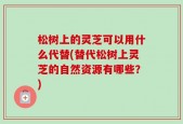松树上的灵芝可以用什么代替(替代松树上灵芝的自然资源有哪些？)