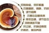 灵芝孢子粉的市场价格，破壁灵芝孢子粉多少钱合理