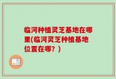 临河种植灵芝基地在哪里(临河灵芝种植基地位置在哪？)