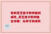 安利灵芝孢子粉种植到成熟_灵芝孢子粉种植全攻略：从种子到成熟