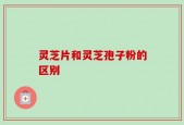 灵芝片和灵芝孢子粉的区别