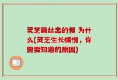 灵芝菌丝出的慢 为什么(灵芝生长缓慢，你需要知道的原因)