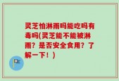 灵芝怕淋雨吗能吃吗有毒吗(灵芝能不能被淋雨？是否安全食用？了解一下！)