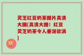 灵芝红豆奶茶图片高清大图(高清大图！红豆灵芝奶茶令人垂涎欲滴)