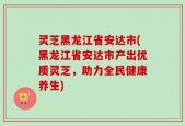 灵芝黑龙江省安达市(黑龙江省安达市产出优质灵芝，助力全民健康养生)