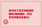 农村树下灵芝种植视频播放(视频播放：农村灵芝种植实景展示)