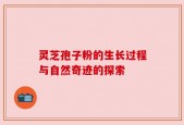 灵芝孢子粉的生长过程与自然奇迹的探索