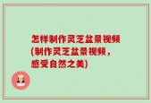 怎样制作灵芝盆景视频(制作灵芝盆景视频，感受自然之美)