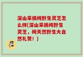 深山采摘纯野生灵芝怎么样(深山采摘纯野生灵芝，纯天然野生大自然礼赞！)
