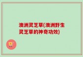 澳洲灵芝草(澳洲野生灵芝草的神奇功效)