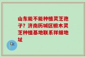 山东能不能种植灵芝孢子？济南历城区椴木灵芝种植基地联系祥细地址