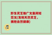 野生灵芝推广文案简短范文(发现天然灵芝，拥抱自然健康)
