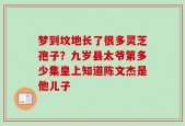 梦到坟地长了很多灵芝孢子？九岁县太爷第多少集皇上知道陈文杰是他儿子