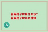 苔藓孢子粉用什么水？苔藓孢子粉怎么种植