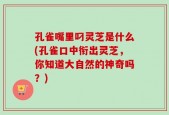 孔雀嘴里叼灵芝是什么(孔雀口中衔出灵芝，你知道大自然的神奇吗？)