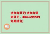活宝肉灵芝(活宝肉遇到灵芝，美味与营养的完美结合)