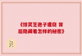 《惊灵芝孢子遭窃 背后隐藏着怎样的秘密》