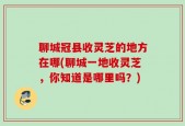聊城冠县收灵芝的地方在哪(聊城一地收灵芝，你知道是哪里吗？)