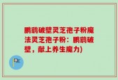 鹏鹞破壁灵芝孢子粉魔法灵芝孢子粉：鹏鹞破壁，献上养生魔力)