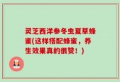灵芝西洋参冬虫夏草蜂蜜(这样搭配蜂蜜，养生效果真的很赞！)