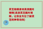灵芝拍摄素材高清图片视频(高清灵芝图片视频，让你全方位了解灵芝的神奇功效)