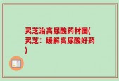 灵芝治高尿酸药材图(灵芝：缓解高尿酸好药)