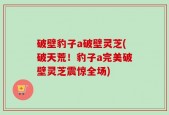 破壁豹子a破壁灵芝(破天荒！豹子a完美破壁灵芝震惊全场)