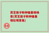 灵芝孢子粉种植基地场景(灵芝孢子粉种植基地壮观景象)
