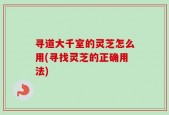 寻道大千室的灵芝怎么用(寻找灵芝的正确用法)