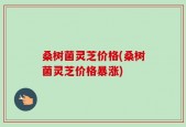 桑树菌灵芝价格(桑树菌灵芝价格暴涨)